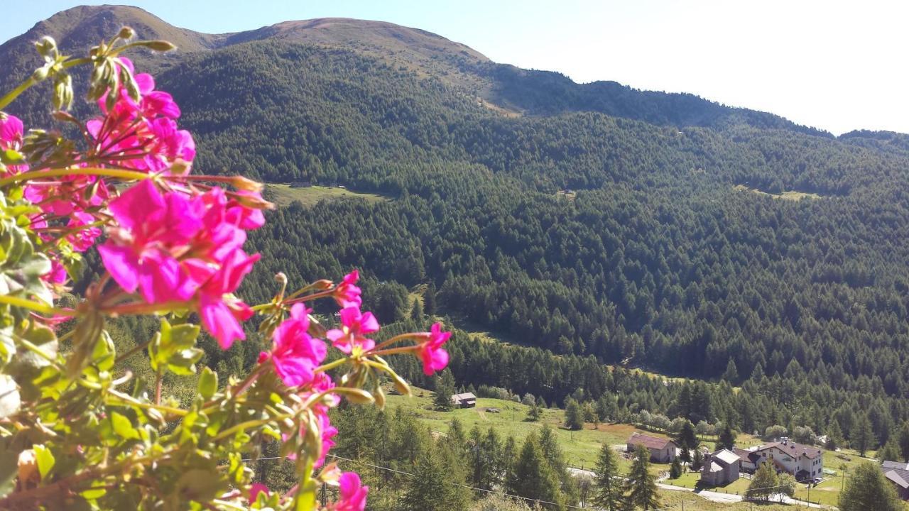 Belvedere Mountain Experience Hotel Monno Exterior photo